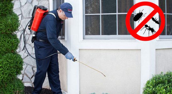 Şemdinli Dezenfeksiyon böcek ilaçlama ve haşere kontrolü — ilaclama-tr.com